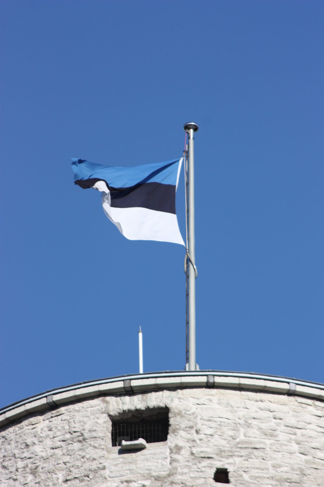 Eesti lipu päev (Eesti lipp 126)